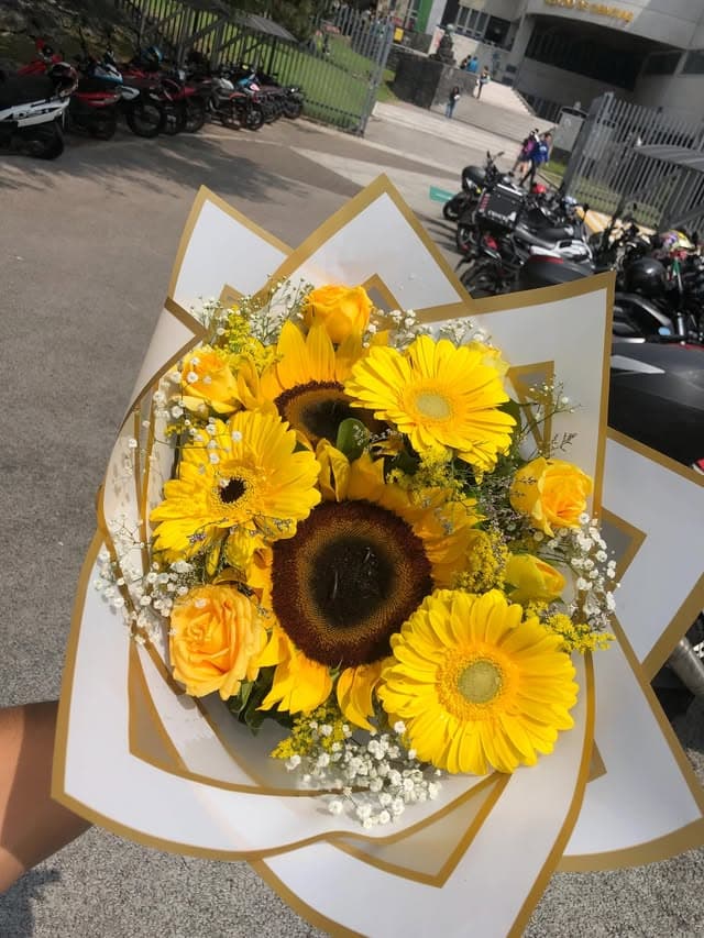 Ramo de girasoles y gerberas en envoltura dorada – Florería Paola AR